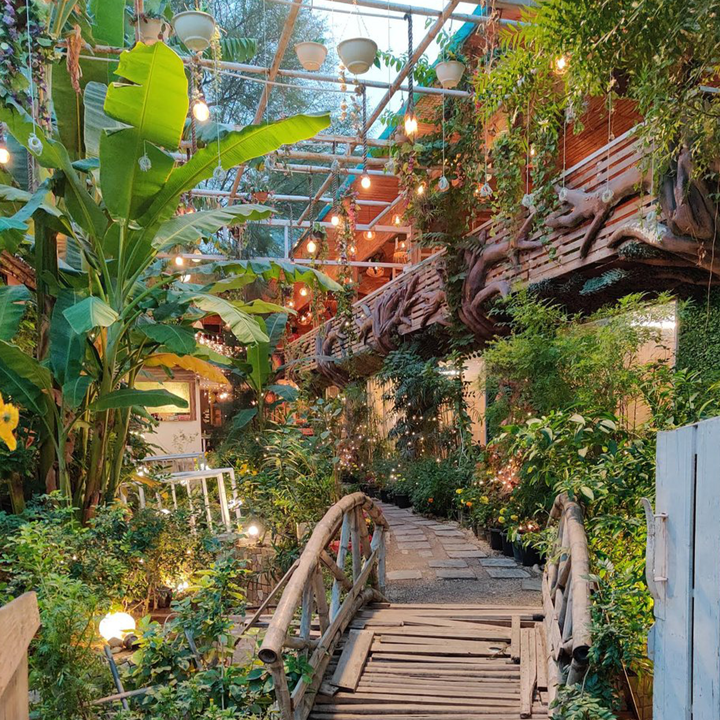 Bild aus unserem Restaurant